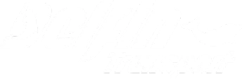 Delfin Transport